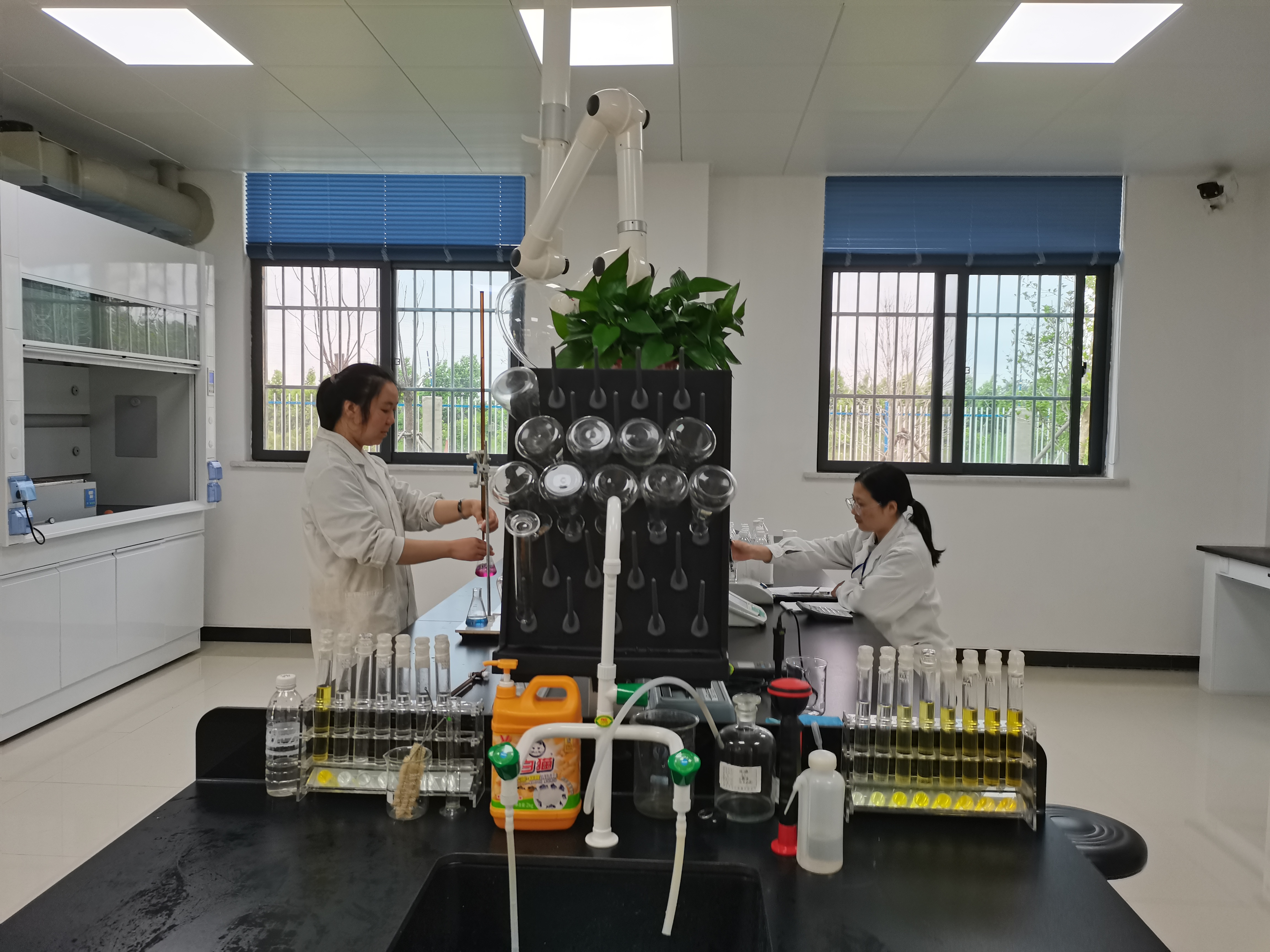 ��ҳ- ���������й��ٷ���վ