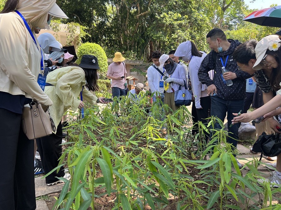 ��ҳ- ���������й��ٷ���վ