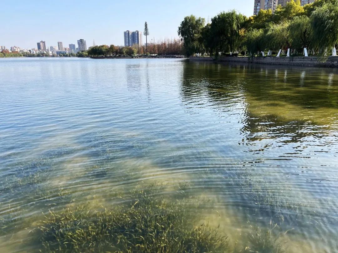 ��ҳ- ���������й��ٷ���վ