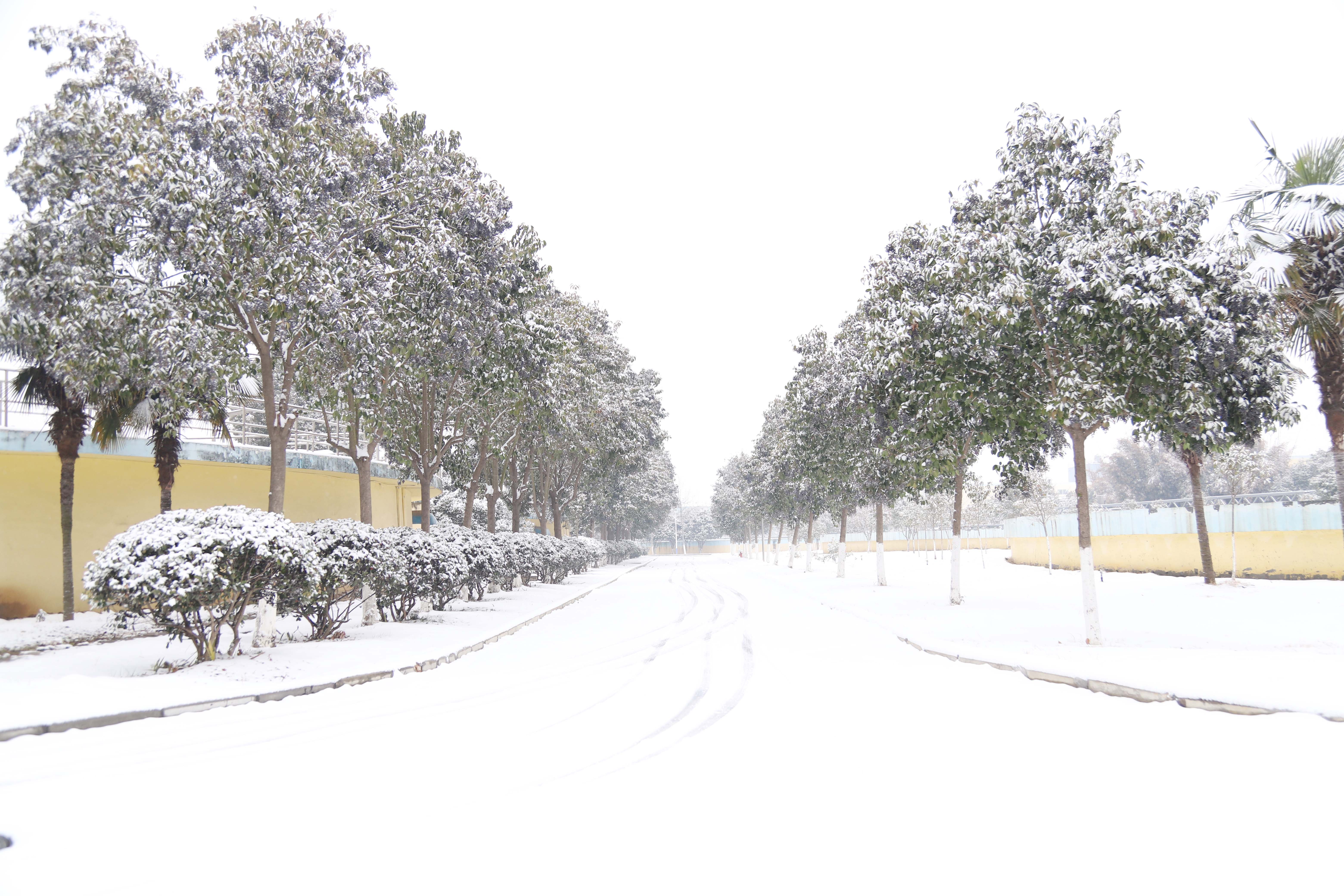 ��ҳ- ���������й��ٷ���վ