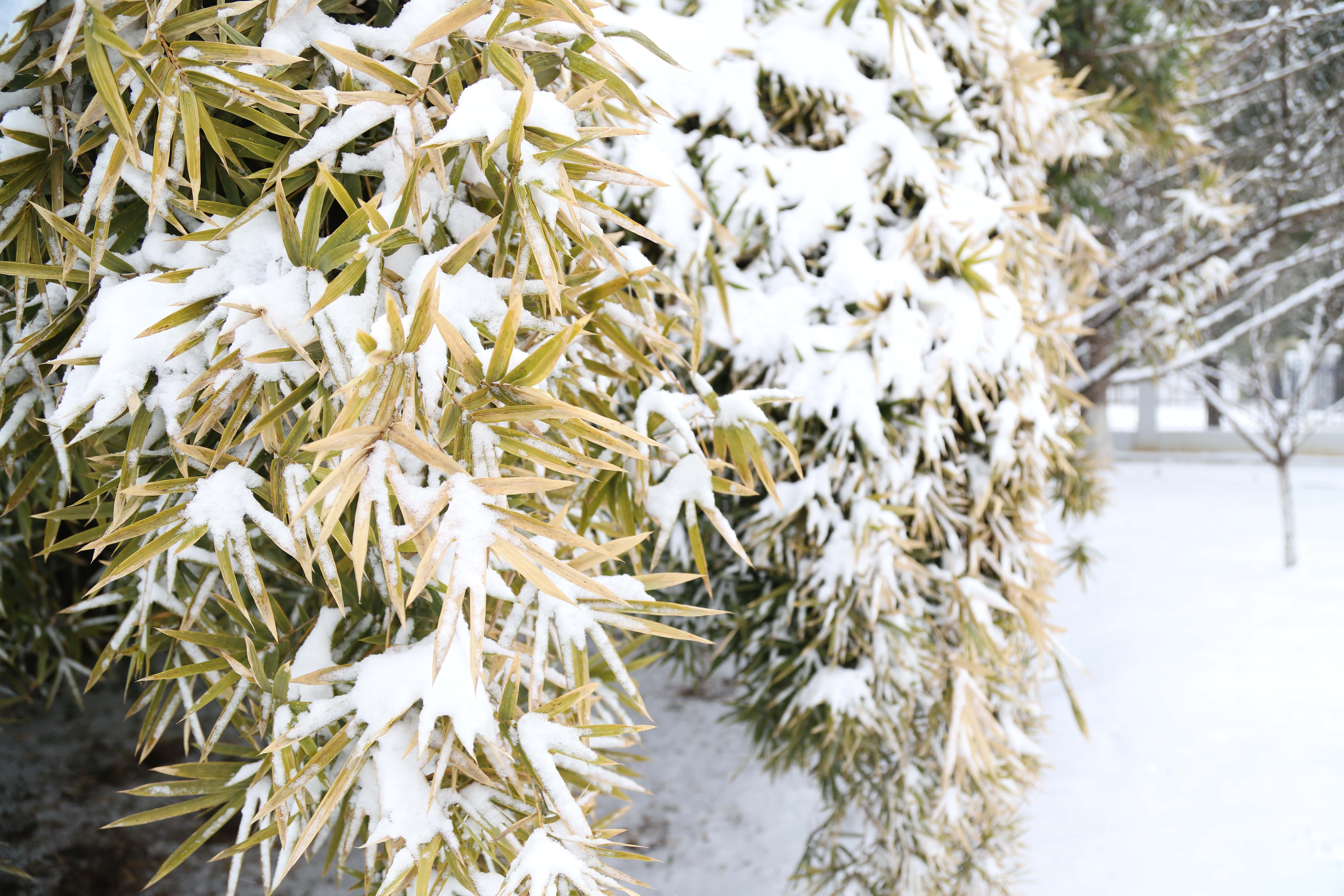 ��ҳ- ���������й��ٷ���վ