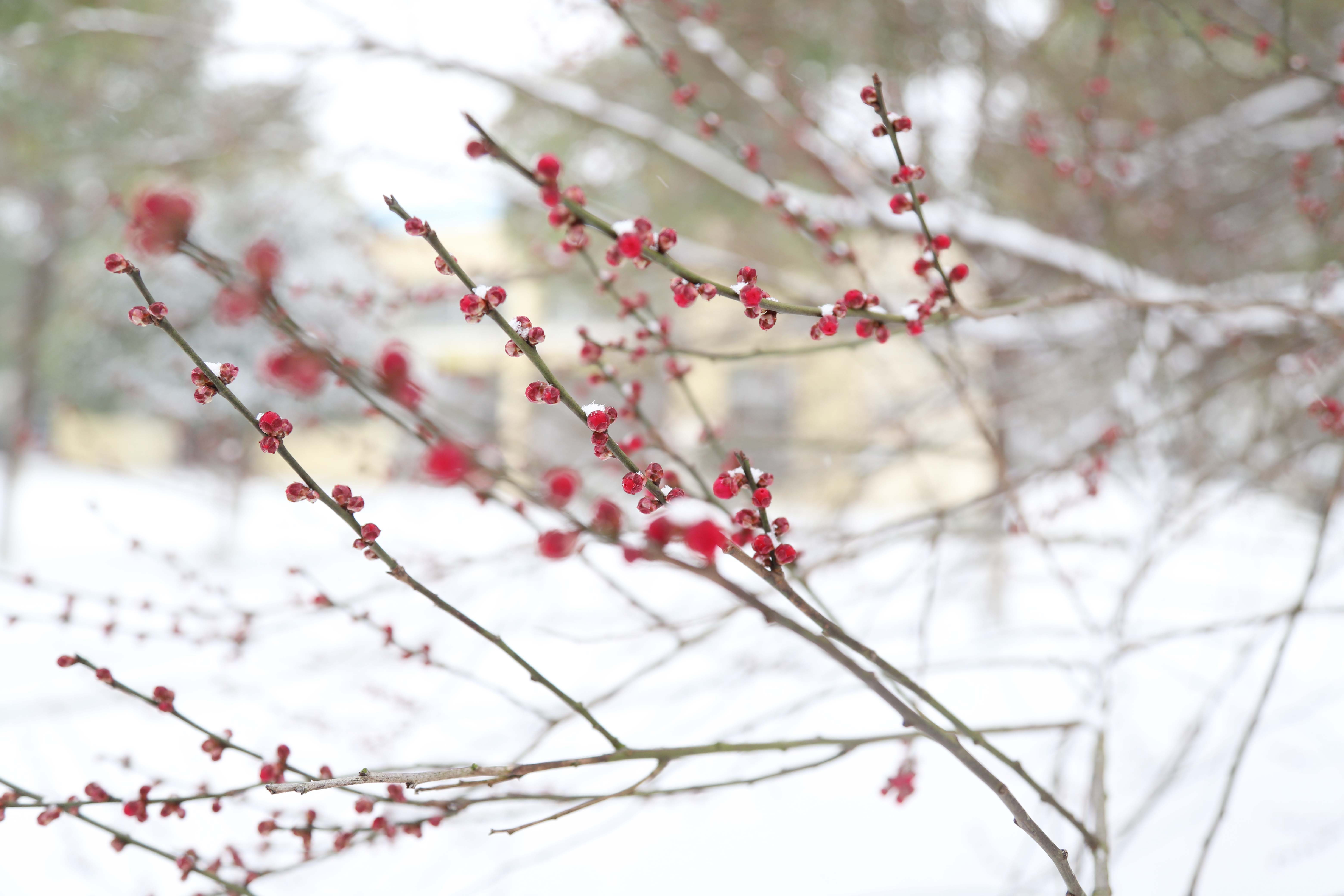 ��ҳ- ���������й��ٷ���վ