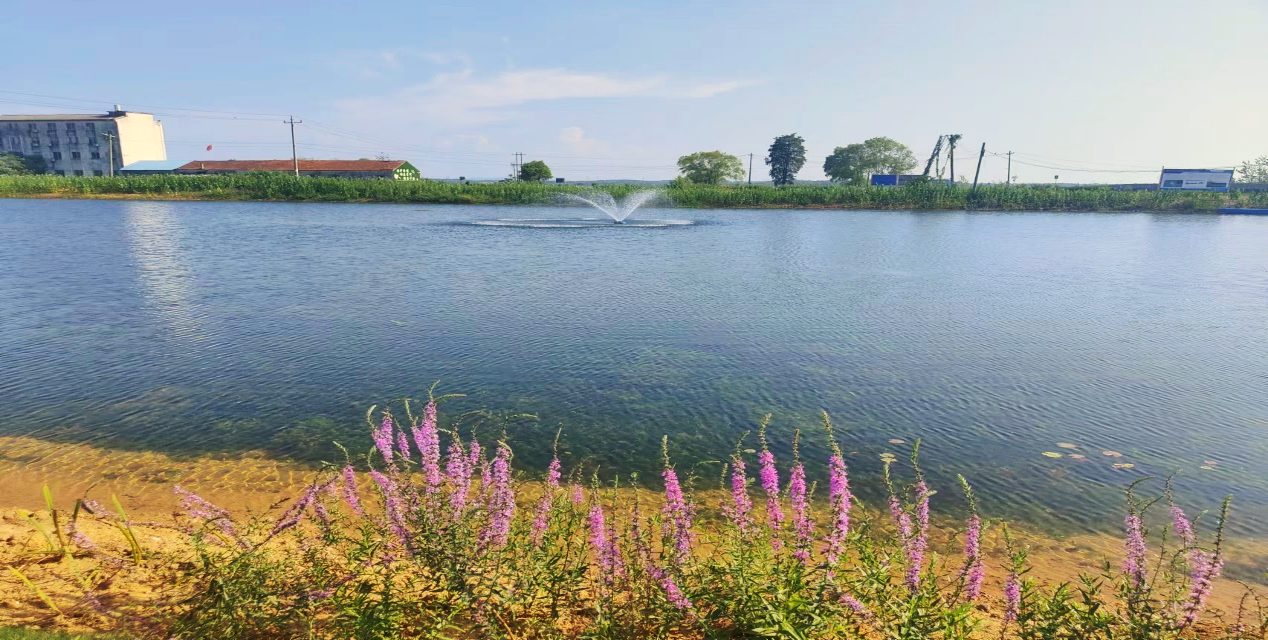 ��ҳ- ���������й��ٷ���վ