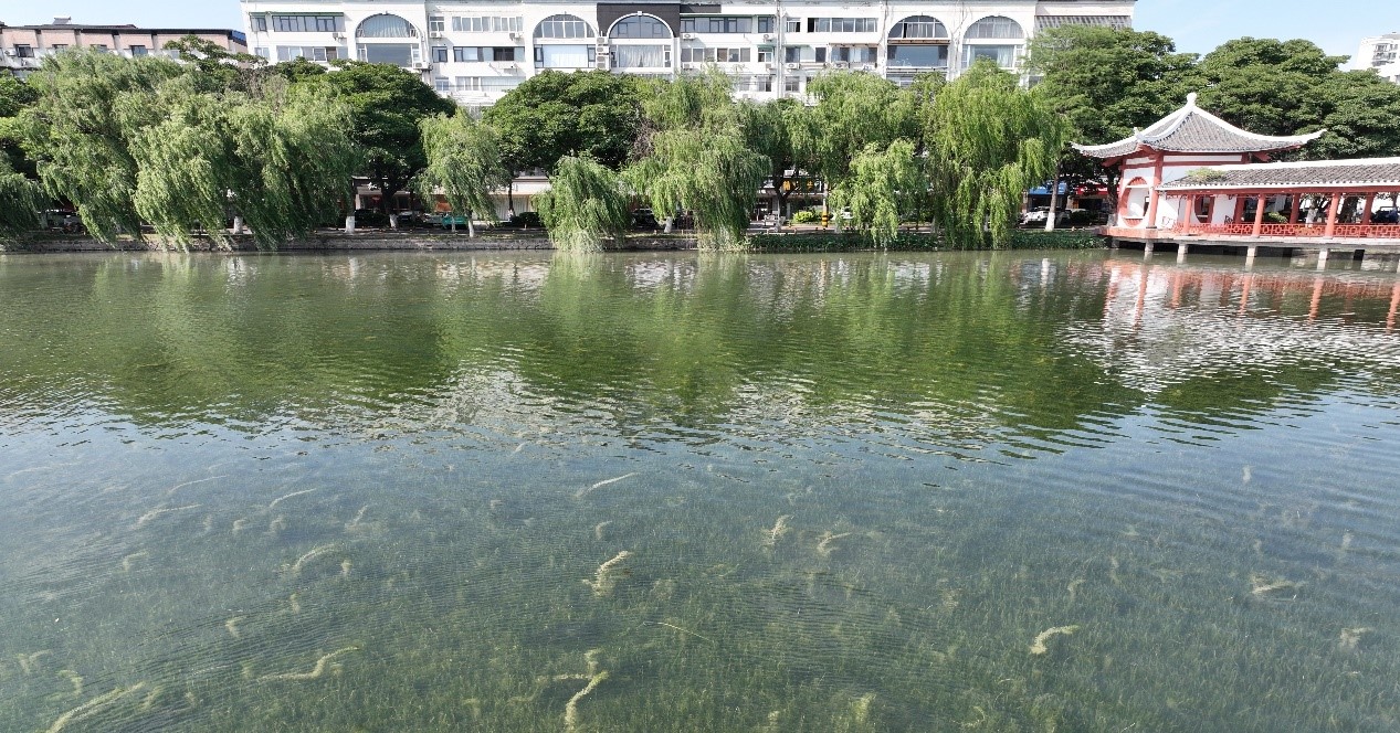 ��ҳ- ���������й��ٷ���վ