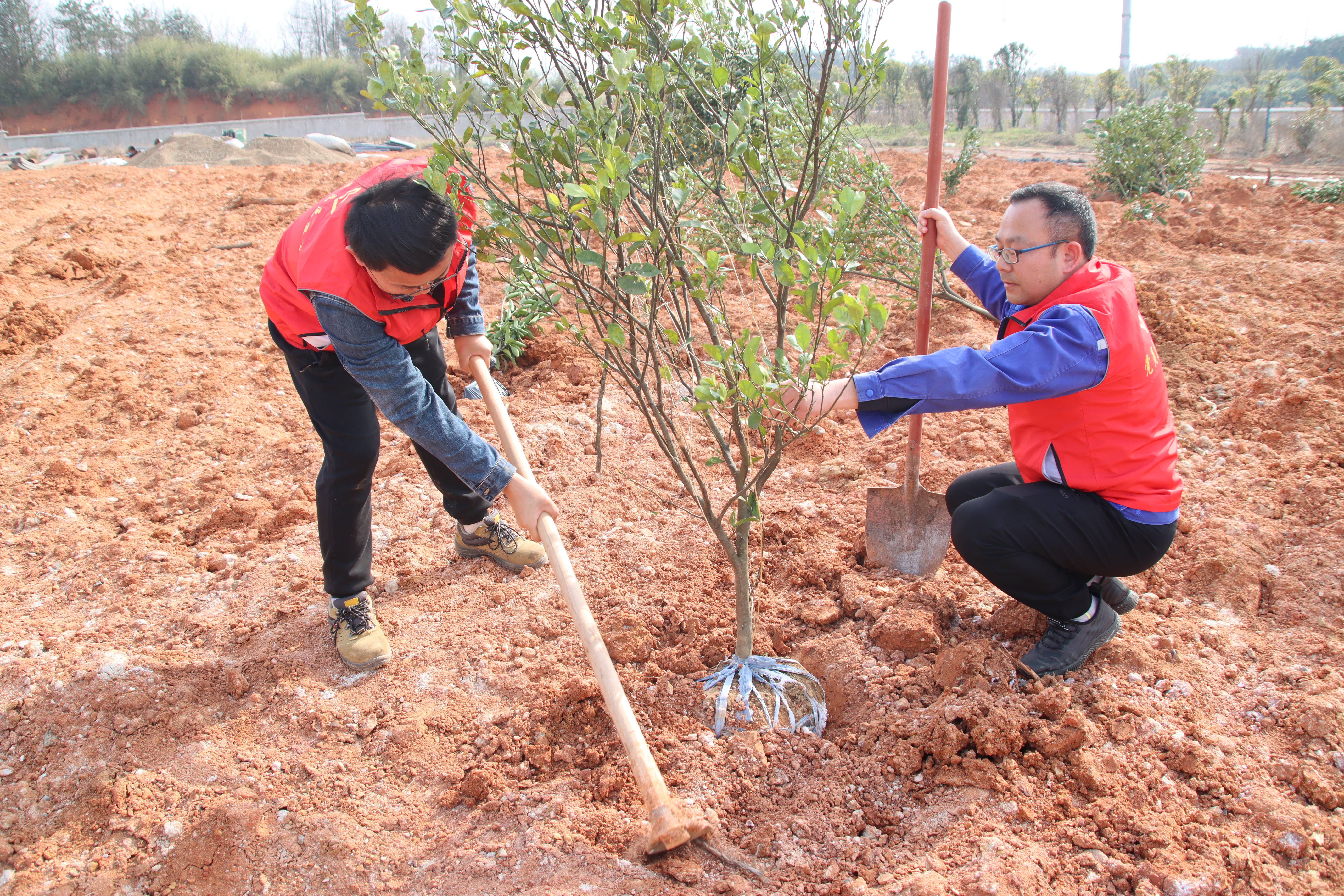 ��ҳ- ���������й��ٷ���վ